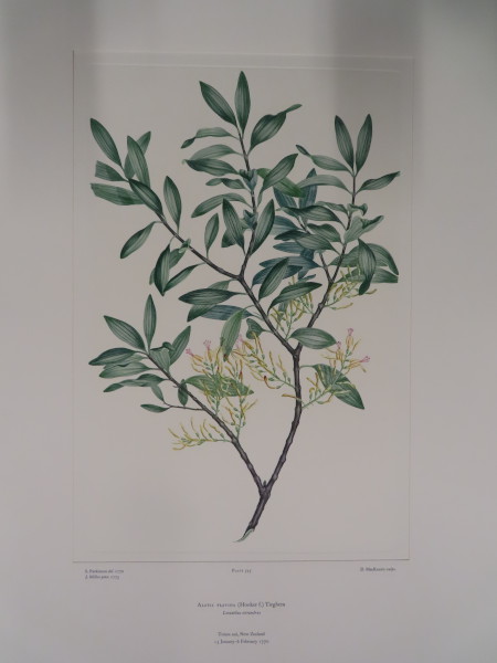 image FDA-E.2916_26_10-2016-A