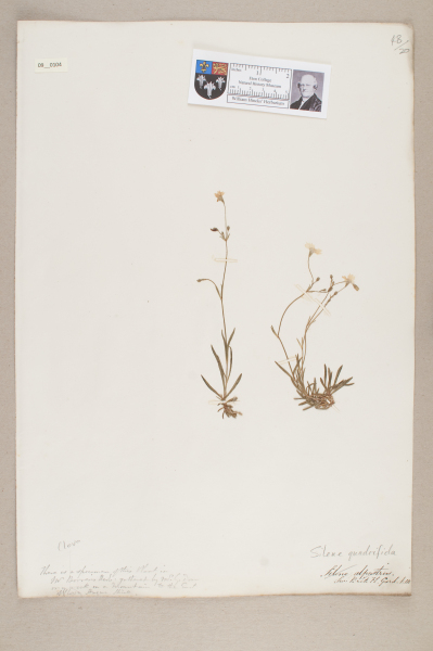 image NHM_HH_9.104-2010