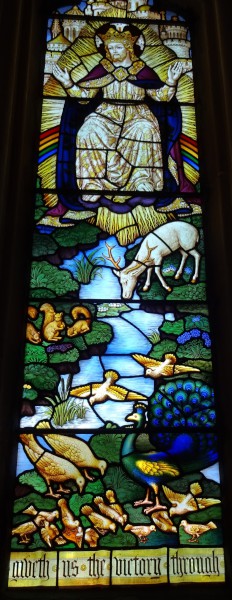 FDA-A.492_1_1b-2017 image FDA-A.492_1_1b-2017