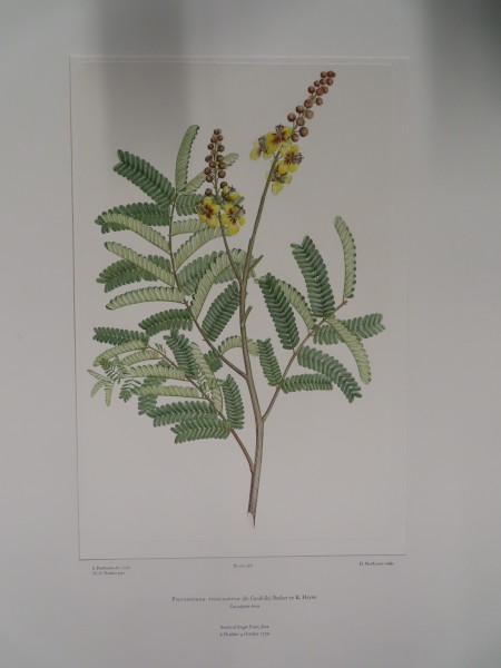 FDA-E.2916_17_9-2016 image FDA-E.2916_17_9-2016