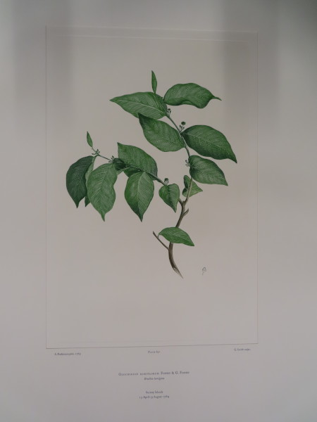 image FDA-E.2916_31_4-2016-A