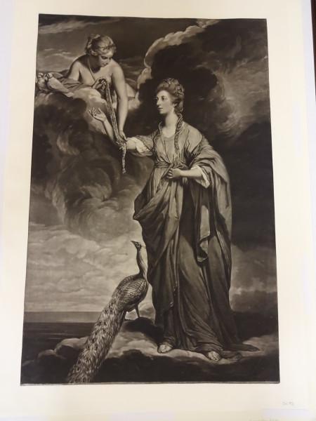 FDA-E.2654-2016 image FDA-E.2654-2016