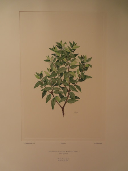 FDA-E.2916_28_24-2016 image FDA-E.2916_28_24-2016