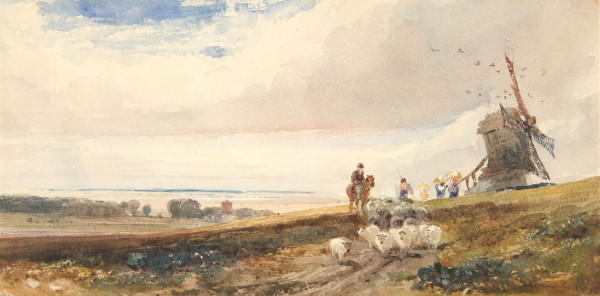 FDA-D.89-2010 image FDA-D.89-2010