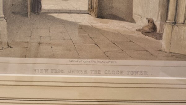 FDA-E.3313-2025-B image FDA-E.3313-2025-B