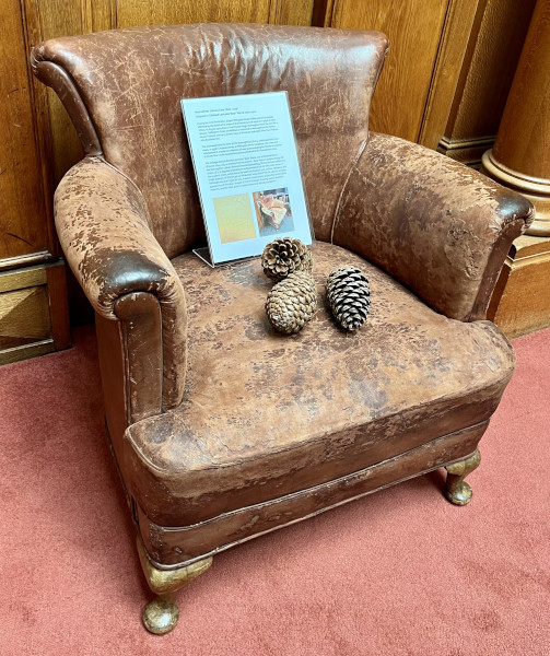 FDA-A.1053-2020-D image FDA-A.1053-2020-D