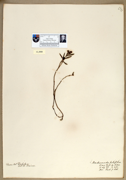 NHM_HH_12.8-2010 image NHM_HH_12.8-2010