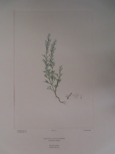 FDA-E.2916_13_4-2016-A image FDA-E.2916_13_4-2016-A