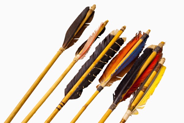 NHM-HT.135-2014 image NHM-HT.135-2014