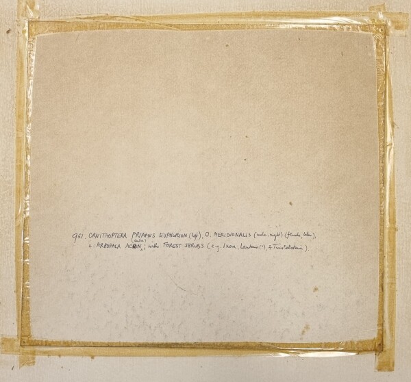 FDA-D.1786-2025-D image FDA-D.1786-2025-D