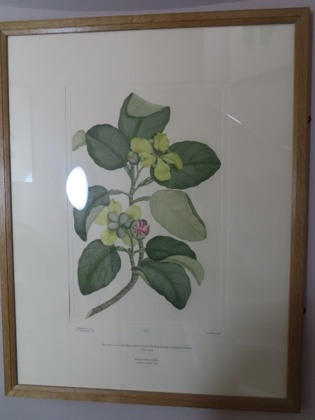 FDA-E.2916_1_4-2016-A image FDA-E.2916_1_4-2016-A