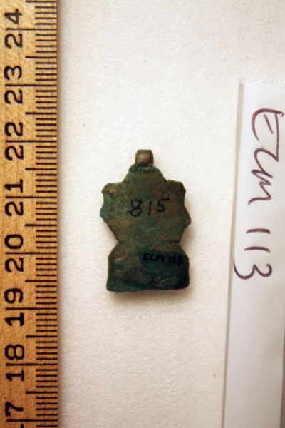 ECM.113-2010-B image ECM.113-2010-B