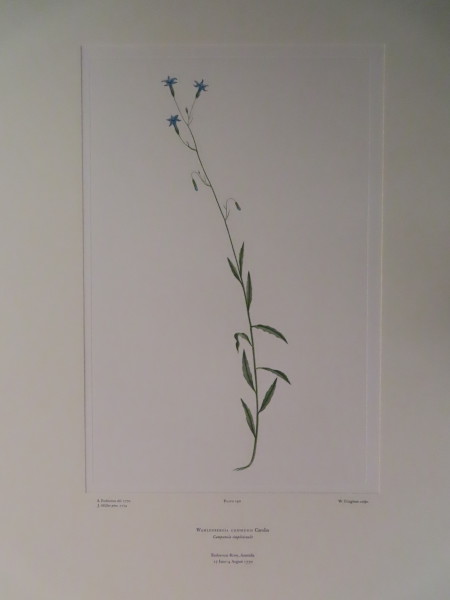 image FDA-E.2916_9_13-2016-A