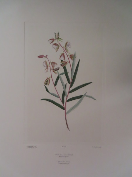 image FDA-E.2916_3_14-2016-A