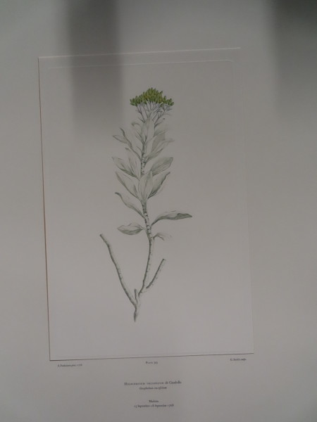 image FDA-E.2916_19_6-2016