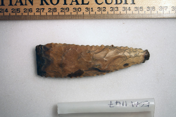 ECM.1147-2010-A image ECM.1147-2010-A