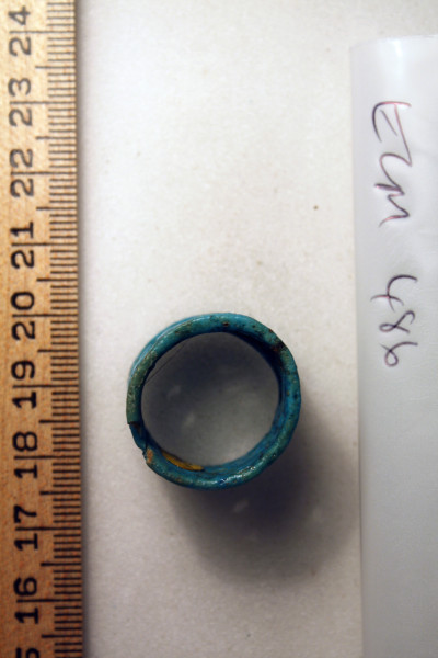 ECM.486-2010-C image ECM.486-2010-C