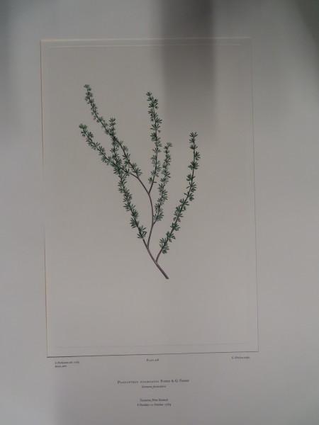 image FDA-E.2916_21_8-2016