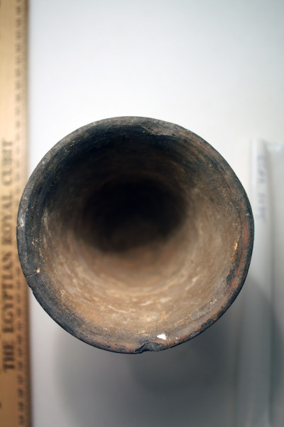 ECM.1195-2010-B image ECM.1195-2010-B