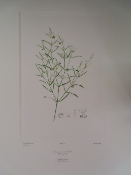 image FDA-E.2916_7_21-2016-A