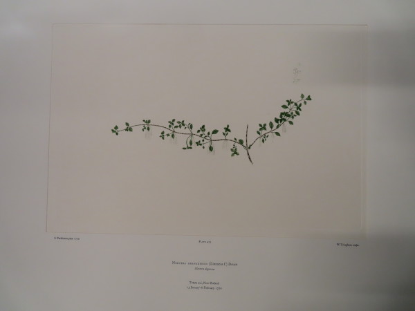 FDA-E.2916_23_9-2016 image FDA-E.2916_23_9-2016