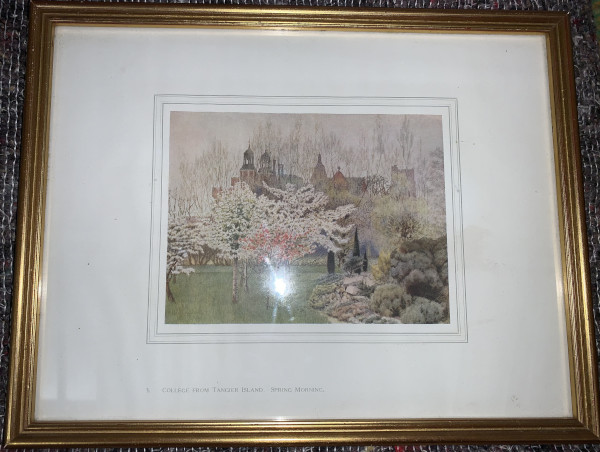 FDA-E.3173_3-2020 image FDA-E.3173_3-2020