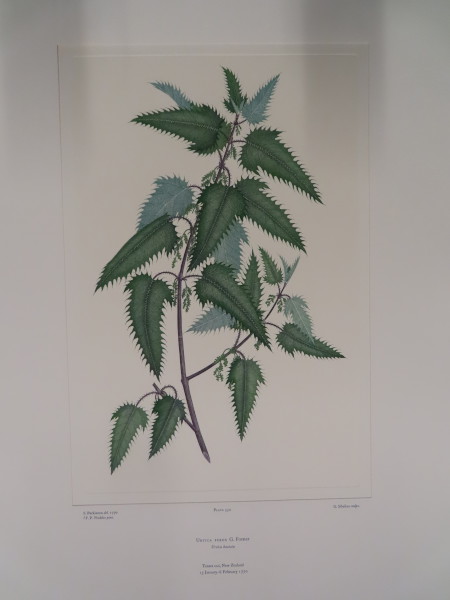 image FDA-E.2916_26_15-2016-A