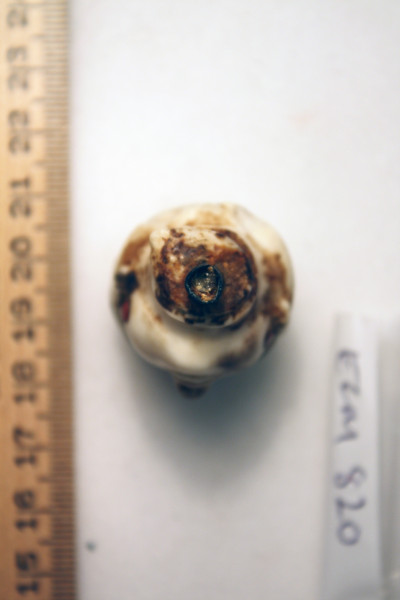 ECM.820-2010-E image ECM.820-2010-E