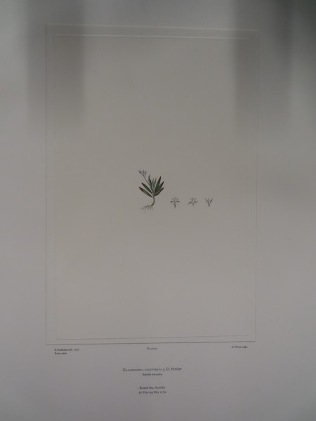 image FDA-E.2916_1_24-2016