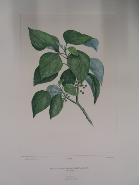 image FDA-E.2916_31_9-2016-A