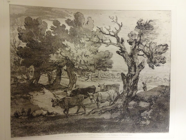 FDA-E.2555_10-2016 image FDA-E.2555_10-2016