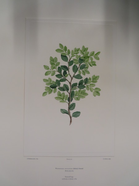 image FDA-E.2916_34_14-2016