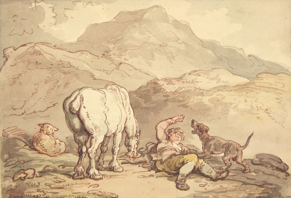 FDA-D.457-2010 image FDA-D.457-2010