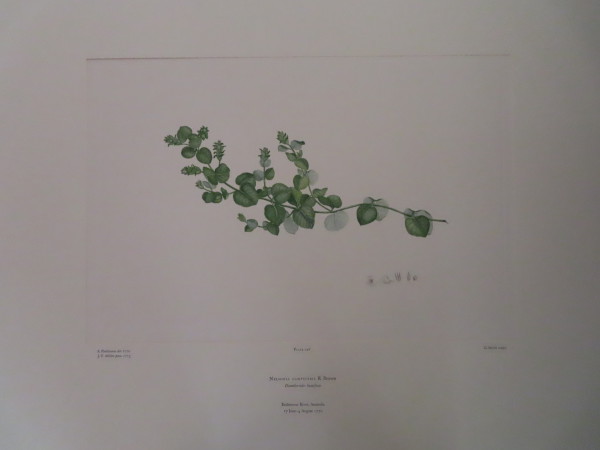 image FDA-E.2916_11_24-2016