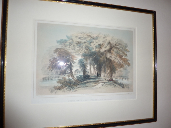 FDA-E.899-2013 image FDA-E.899-2013