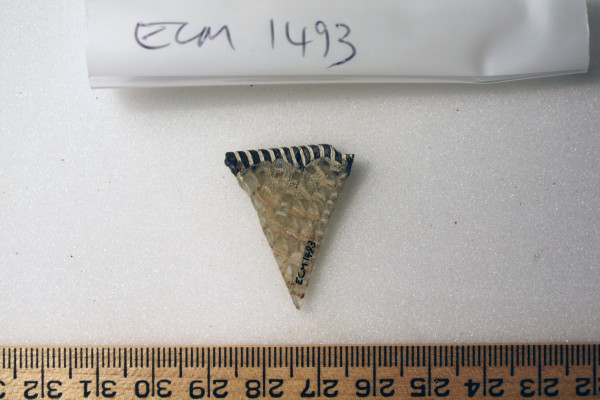 ECM.1493-2010-B image ECM.1493-2010-B