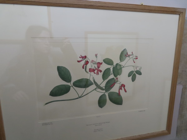 FDA-E.2916_4_10-2016 image FDA-E.2916_4_10-2016