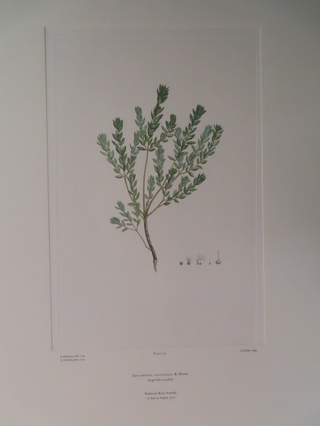 image FDA-E.2916_9_18-2016-A