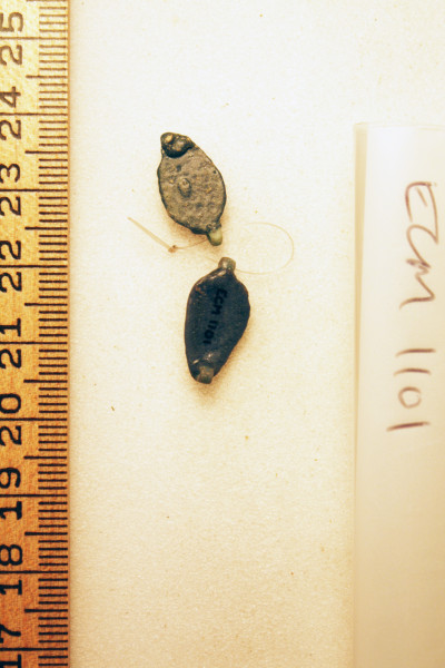 ECM.1101-2010-B image ECM.1101-2010-B