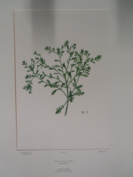 image FDA-E.2916_20_11-2016-A