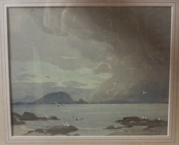 FDA-D.1620-2020-C image FDA-D.1620-2020-C