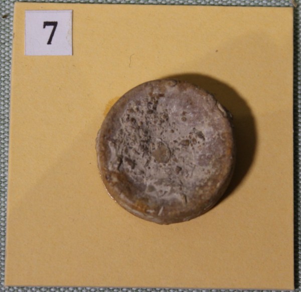 NHM.468-2017 image NHM.468-2017