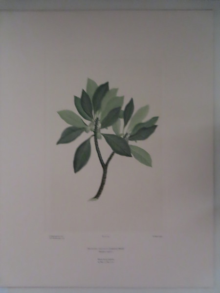 image FDA-E.2916_5_16-2016-A