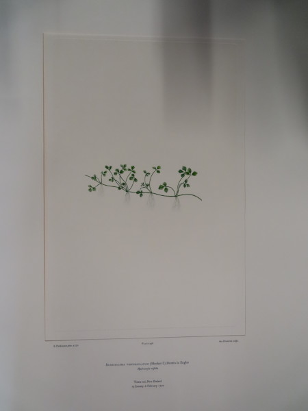 image FDA-E.2916_22_13-2016-A