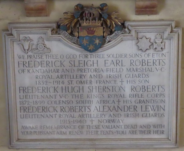 FDA-Sc.206-2022 image FDA-Sc.206-2022