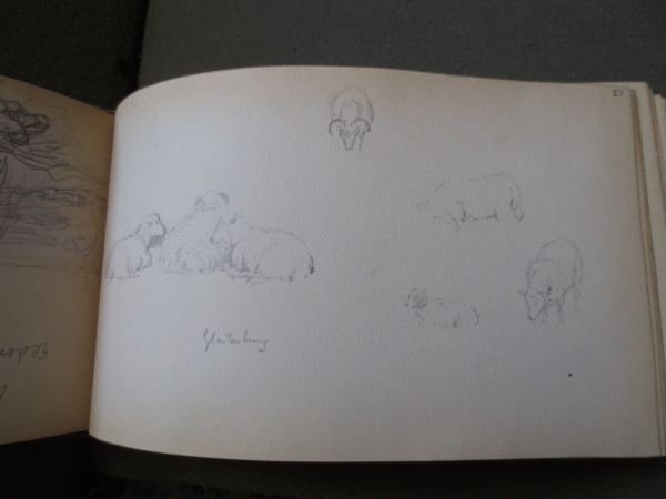 image FDA-V.4-2016-V