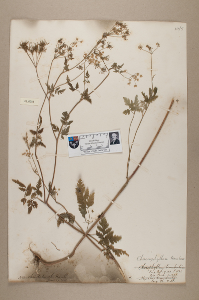 NHM_HH_21.14-2010 image NHM_HH_21.14-2010