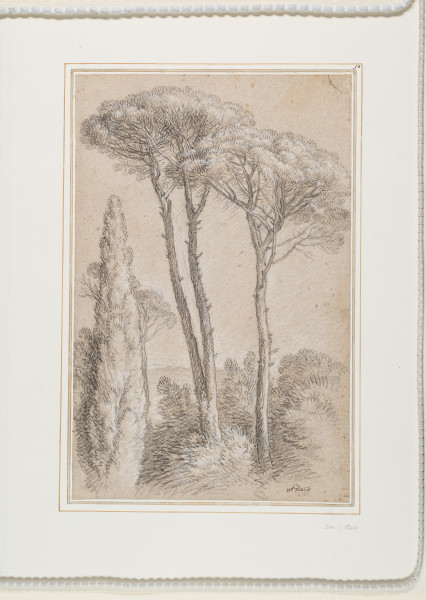 FDA-D.1157-2015-cr image FDA-D.1157-2015-cr