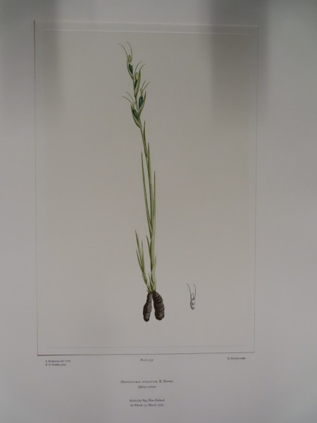 image FDA-E.2916_26_20-2016