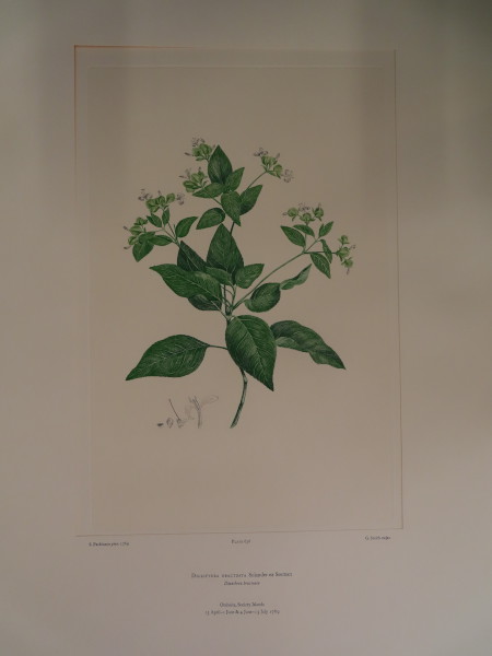 image FDA-E.2916_30_11-2016